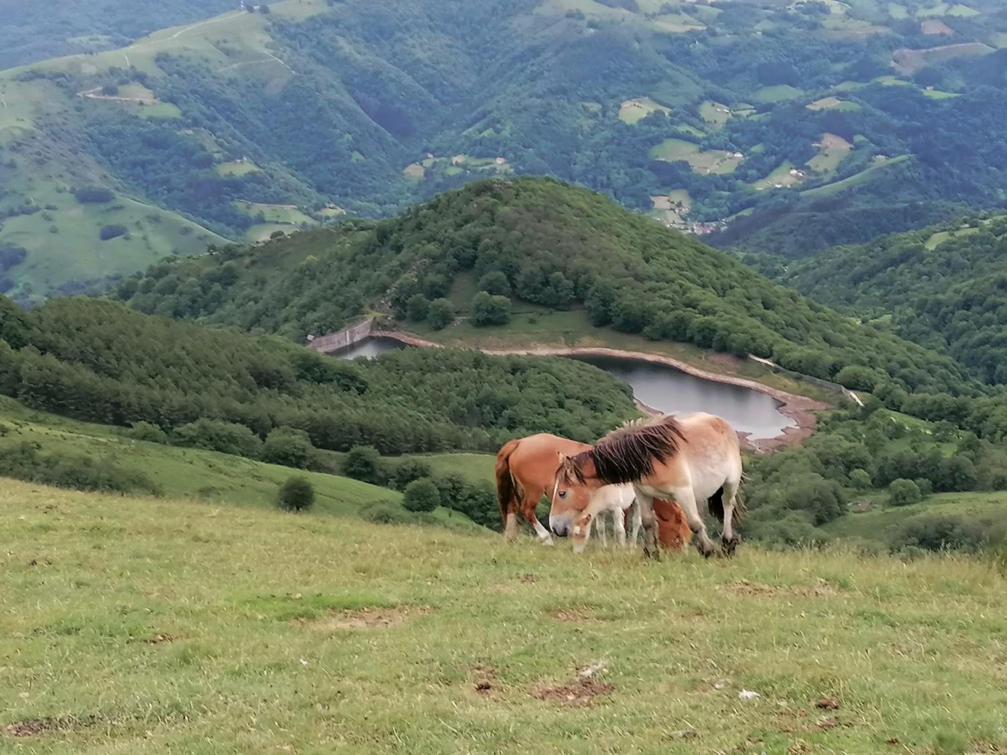 Casa Rural Soroa Landetxea Villa Arantza Kültér fotó